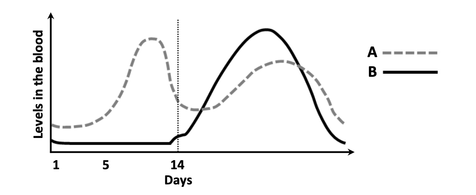 Menstrual cycle hormone graph — A (dashed) peaks before day 14, B (solid) peaks after day 14, axis days 1, 5, 14