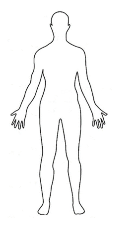 Outline of a human body for endocrine gland labelling