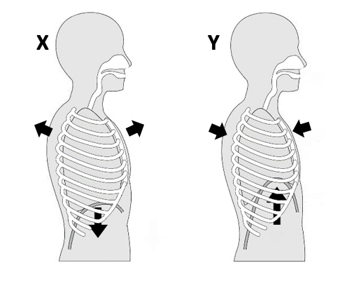 Two breathing diagrams — X: ribs/diaphragm moving outward and downward (inhalation), Y: ribs/diaphragm moving inward and upward (exhalation)