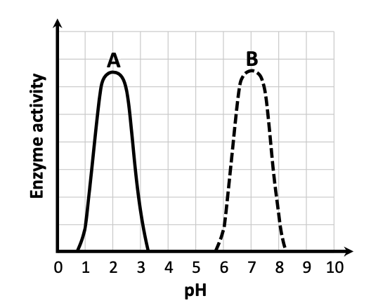Graph of enzyme activity vs pH — enzyme A peaks at pH 2 (solid curve), enzyme B peaks at pH 7 (dashed curve)