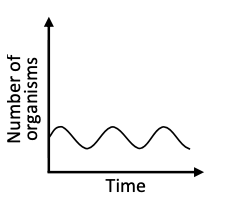 Graph: number of organisms vs time, periodic predator curve