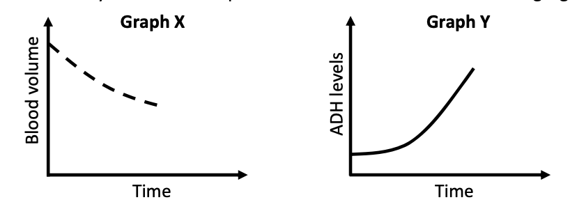 Two graphs over the same time axis — Graph X: blood volume falling; Graph Y: ADH levels rising